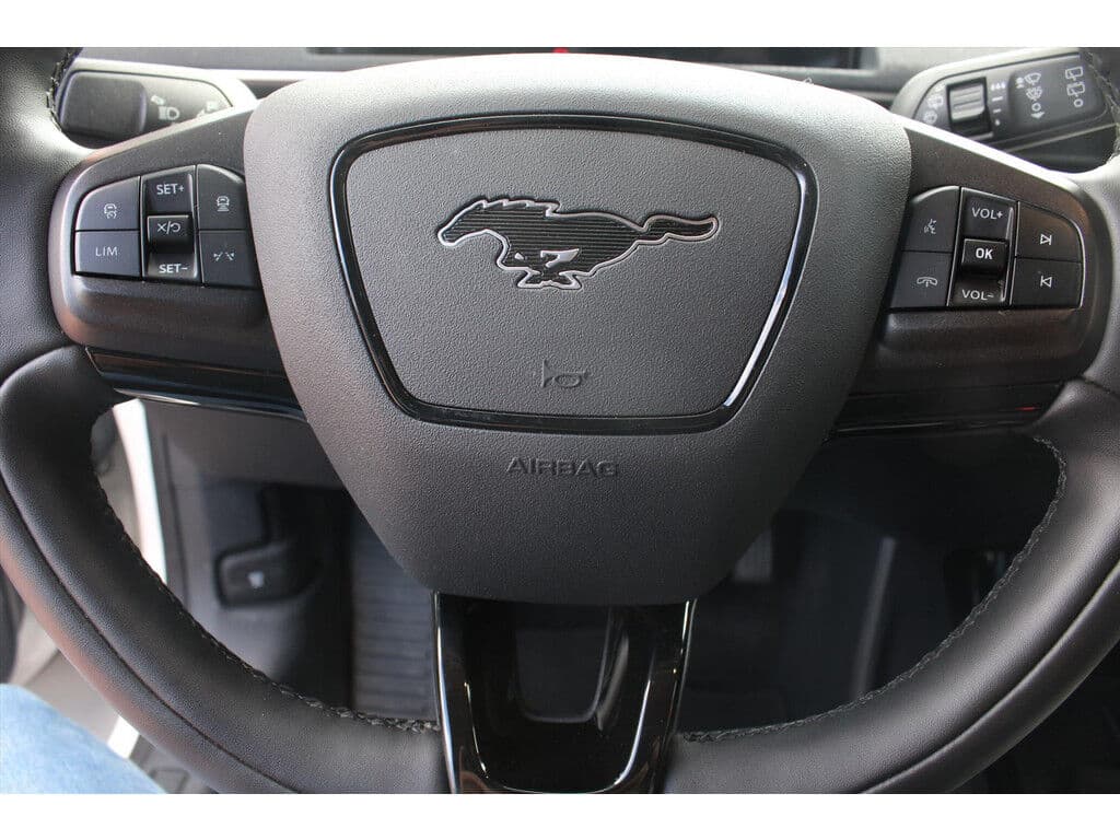 Ford Mustang Mach-E 75kwh | Soh 91.5% | Camera | Vol- Leder | Adaptive Cruise & Climate Control | Stoel & Stuurverwarming | Carplay | Navigatie | thumbnail 13