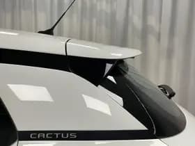 Citroën C4 Cactus thumbnail 91