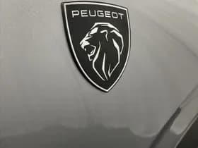Peugeot 3008 thumbnail 114