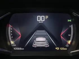 DS DS 3 thumbnail 48