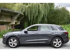 Audi E-tron 50 QUATTRO BUSINESS EDITION 71 kWh thumbnail 6