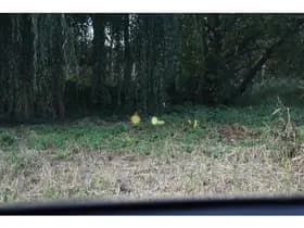 BMW X2 M35iA 306PK HIGH EXECUTIVE M-SPORT thumbnail 18