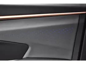 CUPRA Terramar 1.5 eTSI 150PK DSG BUSINESS SFEERVERL thumbnail 31