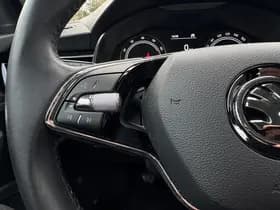 ŠKODA Kamiq 1.0 TSI 110PK Ambition thumbnail 15