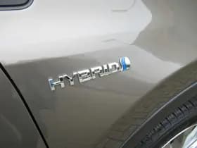 Toyota RAV4 2.5 Hybrid Dynamic thumbnail 21