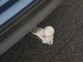 Volkswagen Tiguan Allspace 2.0 TDI 150pk DSG Comfortline Business 7Pers. Trekhaak Camera Keyless Stoelverwarming Virtual Cockpit Navigatie thumbnail 4