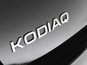Škoda Kodiaq 1.5 TSI 150pk MHEV DSG Business Edition 7p. Panoramadak Matrix Led Camera Keyless Adaptive Cruise thumbnail 40