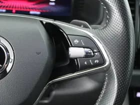 Škoda Kodiaq 1.5 TSI 150pk DSG Sportline Business 7Pers. Keyless Stoelverwarming Camera Memory Virtual Cockpit Navigatie thumbnail 19