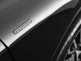 Audi Q5 Sportback 299pk e-hybrid quattro S edition Trekhaak Camera Leder Memory Panoramadak Navigatie S-Line thumbnail 49