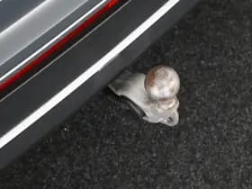 Volkswagen Tiguan 1.5 TSI 150pk DSG Elegance Trekhaak 360Camera IQ.Light Headup Keyless Virtual Cockpit Navigatie thumbnail 4