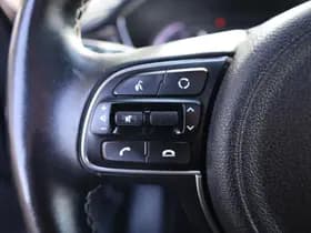 Kia E-Niro DynamicPlusLine 64 kWh thumbnail 14