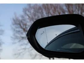 Lexus RX 450h+ Plug-in Hybrid President Line thumbnail 14