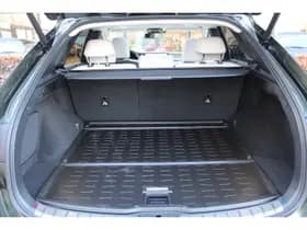 Lexus RX 450h+ Plug-in Hybrid President Line thumbnail 6