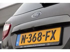 Ford Ecosport 1.0 EcoBoost 125pk ST-Line Black 'Magnetic Grey' | Camera | Privacy Glass | Rijklaar! Magnetic Grey thumbnail 14