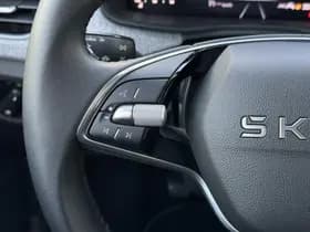 Škoda Kamiq 1.0 TSI Monte Carlo thumbnail 27