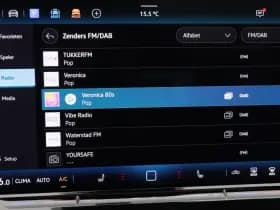 Volkswagen Tiguan R-Line Edition 1.5 eHybrid 204 PK thumbnail 24