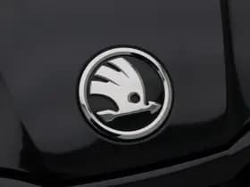 Skoda Fabia 1.0 TSi 116 Pk Automaat Monte Carlo thumbnail 11