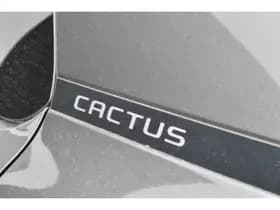 Citroën C4 Cactus PureTech EAT6 Shine Automaat thumbnail 7