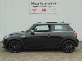 Mini Mini thumbnail 4