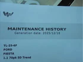 Ford Fiesta thumbnail 15