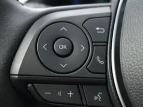 Toyota RAV4 2.5 Hybrid AWD Style Bi-Tone Limited Automaat 222pk thumbnail 9