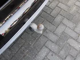 Volvo XC90 T8 Twin Engine AWD Inscription thumbnail 11