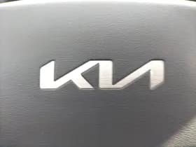 Kia Niro-ev thumbnail 21