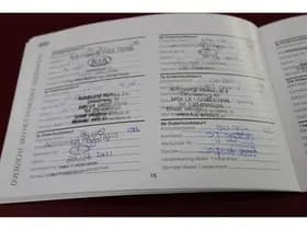 Kia Niro thumbnail 60