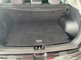 Kia Niro thumbnail 19