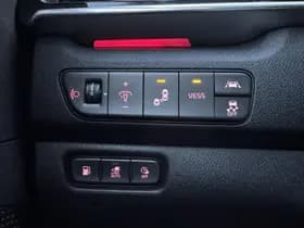 Kia Niro thumbnail 19