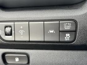 Kia Niro thumbnail 19