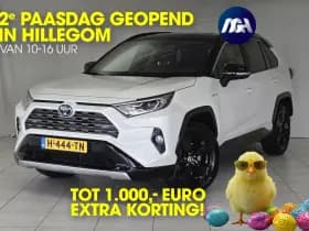 Toyota RAV4 2.5 Hybrid Bi-Tone | Trekhaak | Parkeercamera | Stoelverwarming