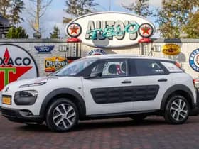 Citroen C4 Cactus 1.2 PureTech Live 1e Eig. 23.900 km +NAP NL- auto