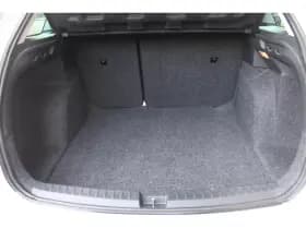 Seat Ibiza 1.2 Tsi *Fr Dynamic* | Trekhaak | Cruise & Climate Control | Pdc | Privacy | Orig. Nl | thumbnail 14