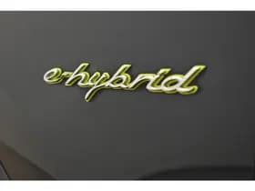 Porsche Cayenne 3.0 S E-Hybrid APK 03-2027 Panoramadak Bose Luchtvering thumbnail 7