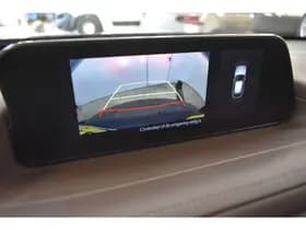 Mazda CX-30 2.0 e-SkyActiv-X M Hybrid Luxury Cam Leer EL aKlep + Stoelen Navi Dhoek Detectie thumbnail 2