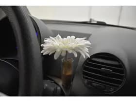 Volkswagen Beetle Cabriolet 2.0 Electrische Kap 89372 originele Kilometers N.A.P Cruise thumbnail 19