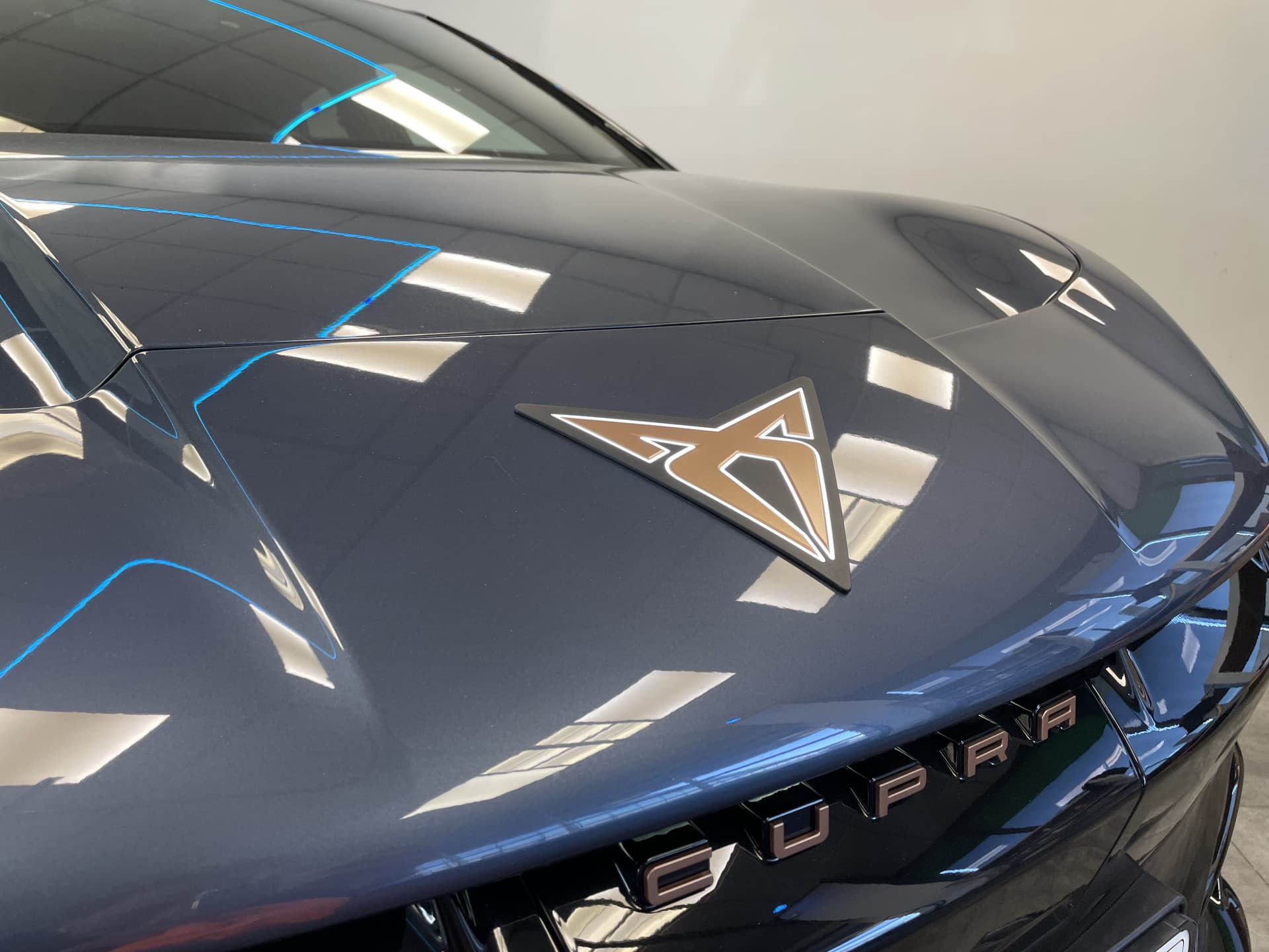 CUPRA Tavascan Endurance thumbnail 7