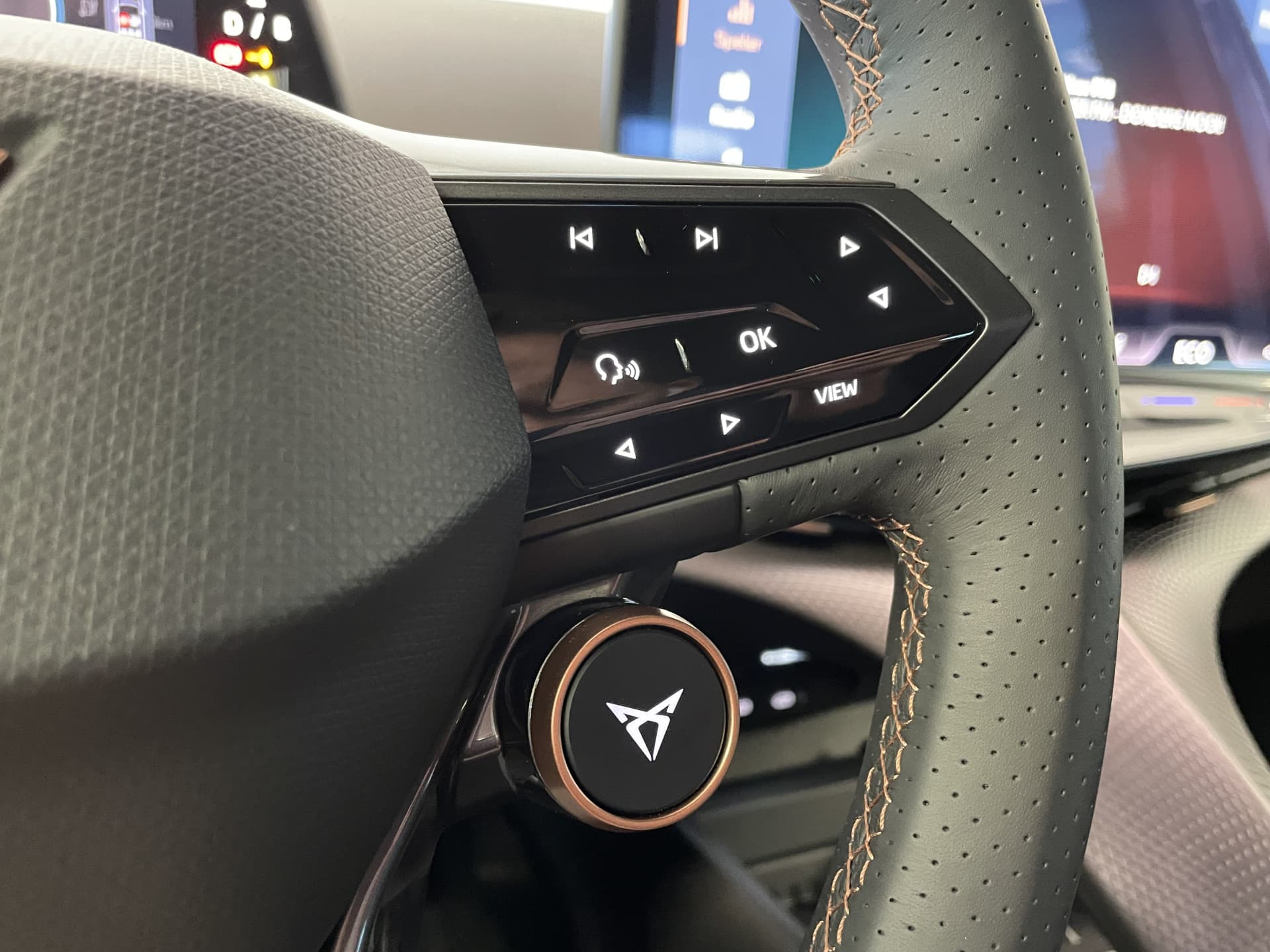 CUPRA Tavascan Endurance thumbnail 12