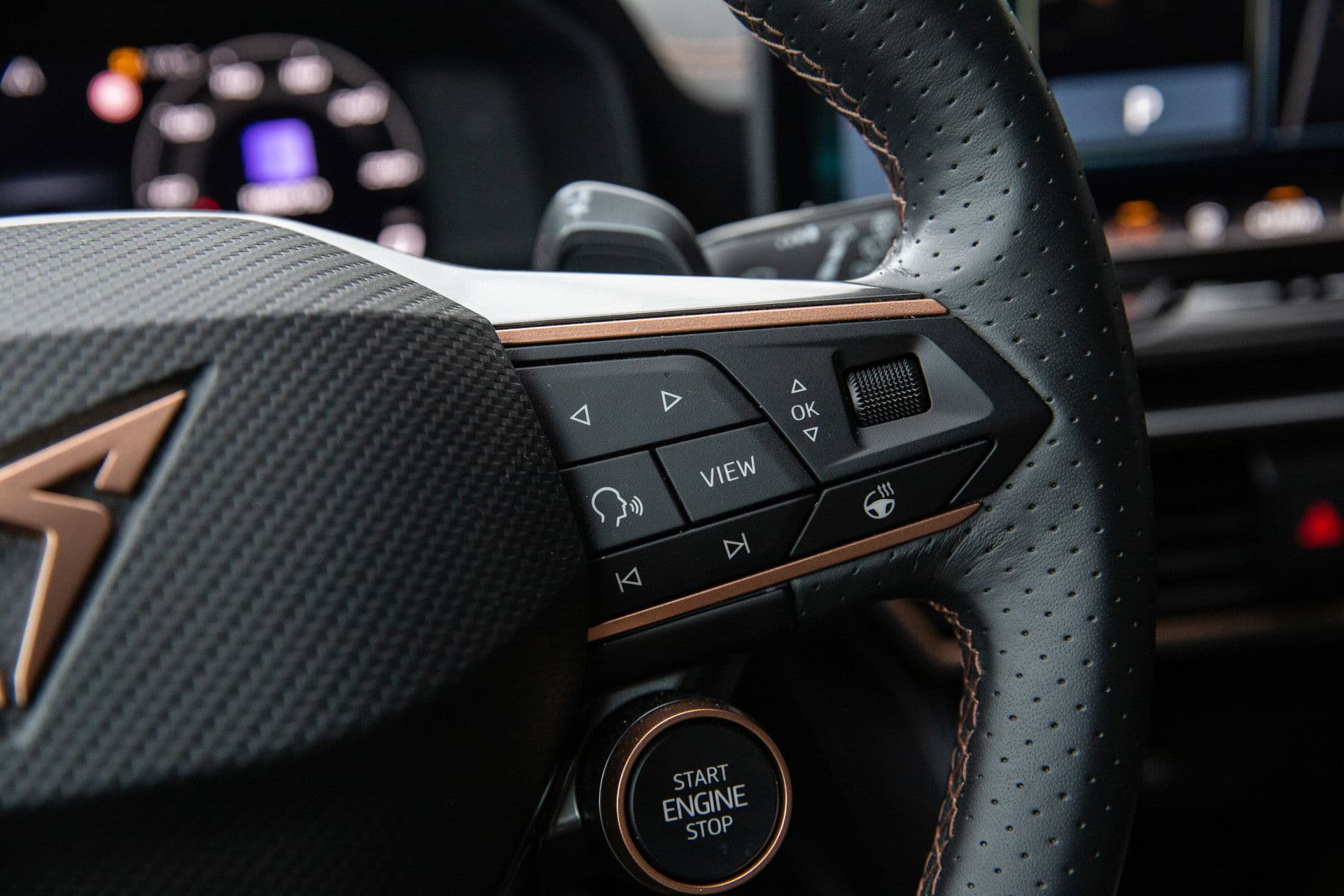 CUPRA Formentor 1.5 eTSI Business Edition Plus , Adap. cruise, Sfeerverlichting, Groot Scherm, thumbnail 22