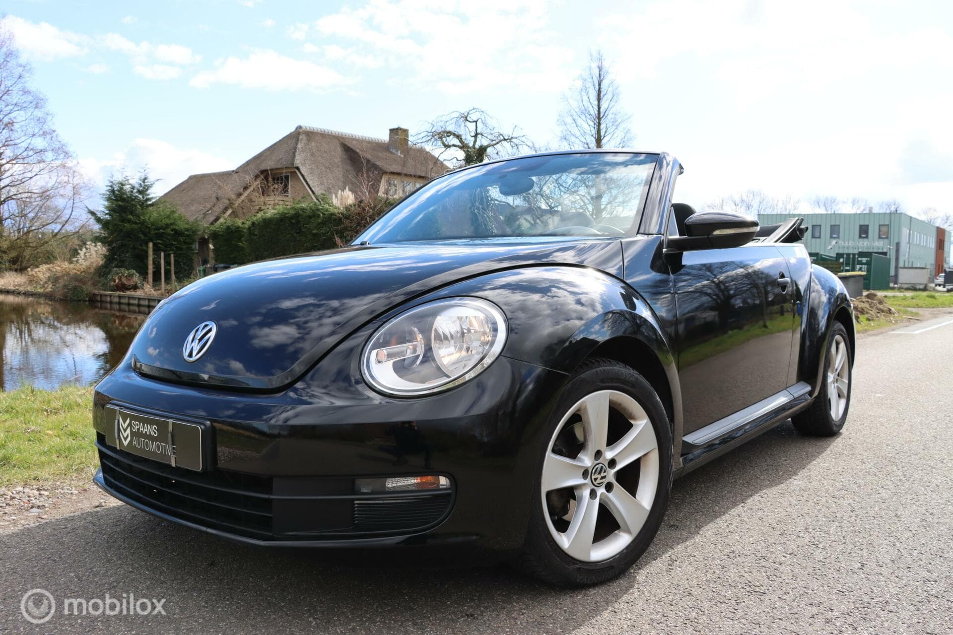 Volkswagen Beetle thumbnail 19