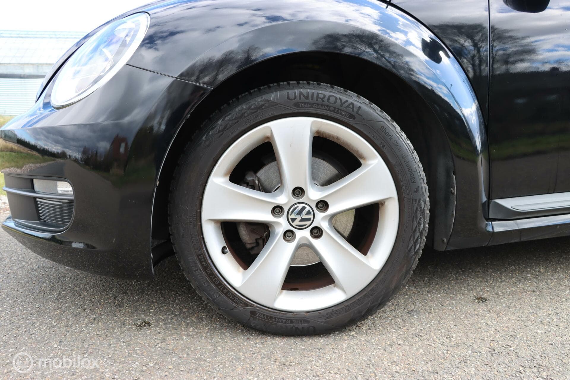 Volkswagen Beetle thumbnail 20