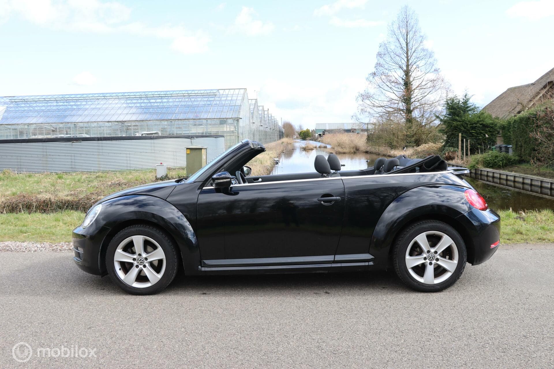 Volkswagen Beetle thumbnail 23