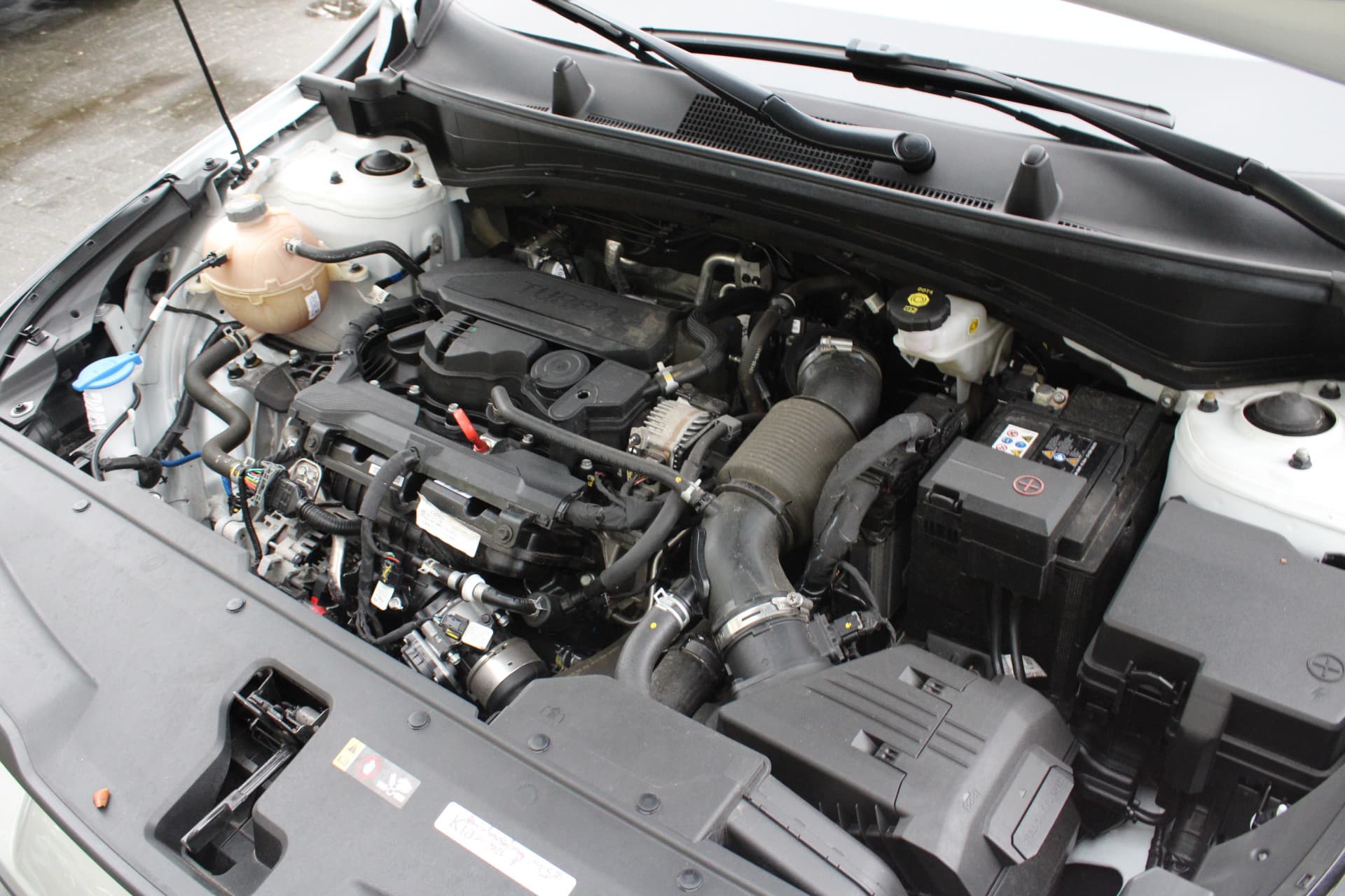 Kia Sportage 1.6 T-GDi MHEV DynamicLine thumbnail 37