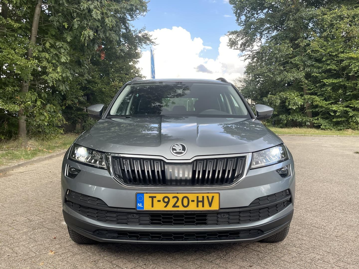 Skoda Karoq thumbnail 2