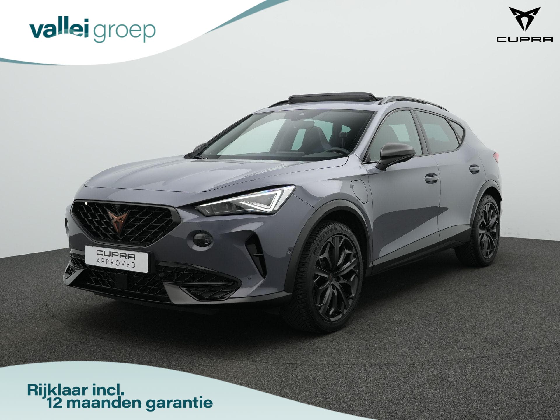 CUPRA Formentor 1.4 e-Hybrid 245 pk DSG VZ Tribe Edition