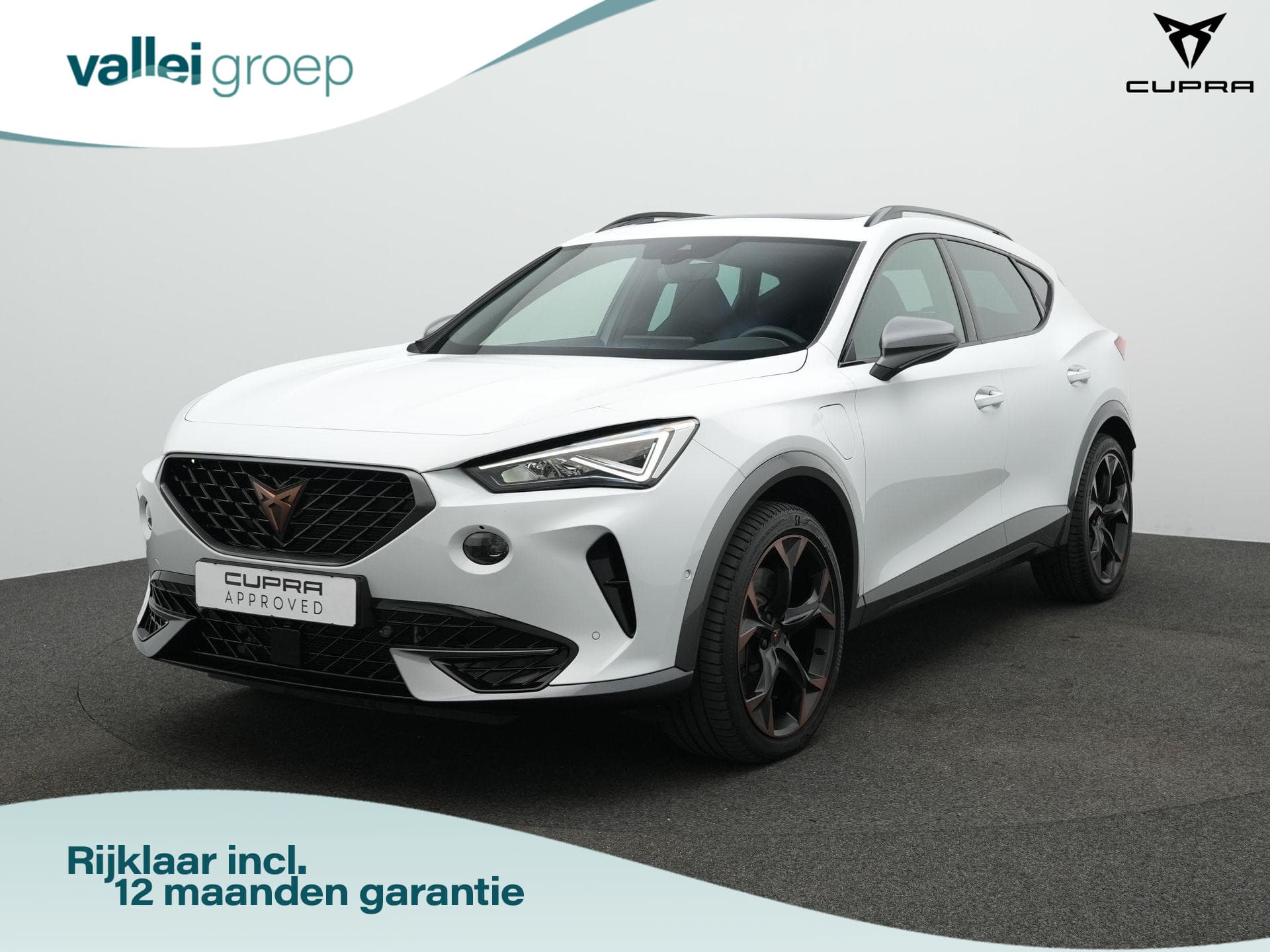 CUPRA Formentor 1.4 e-Hybrid 245 pk VZ